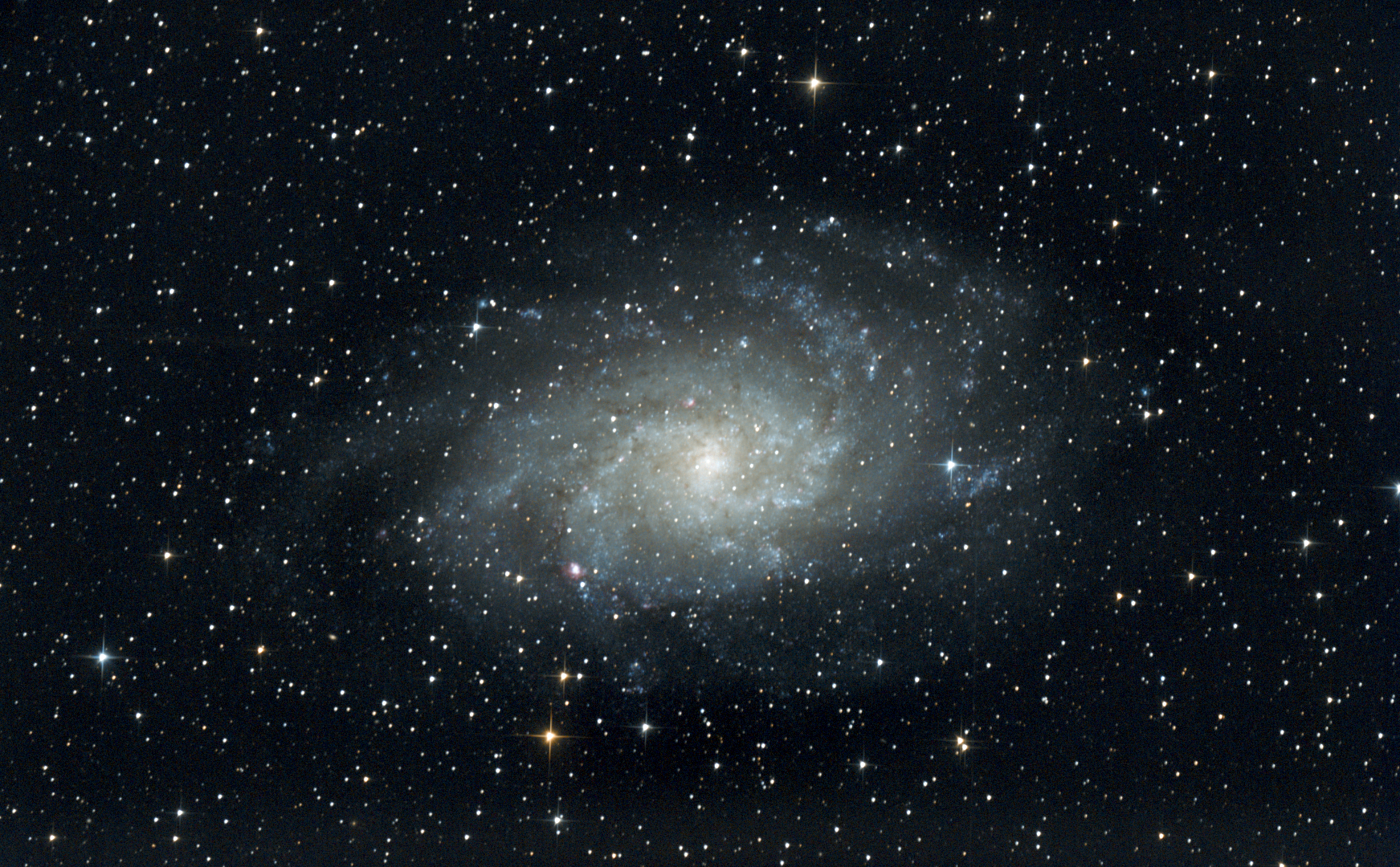 M33